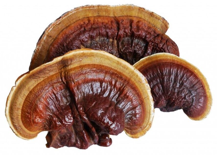 Magicoa contains reishi mushroom